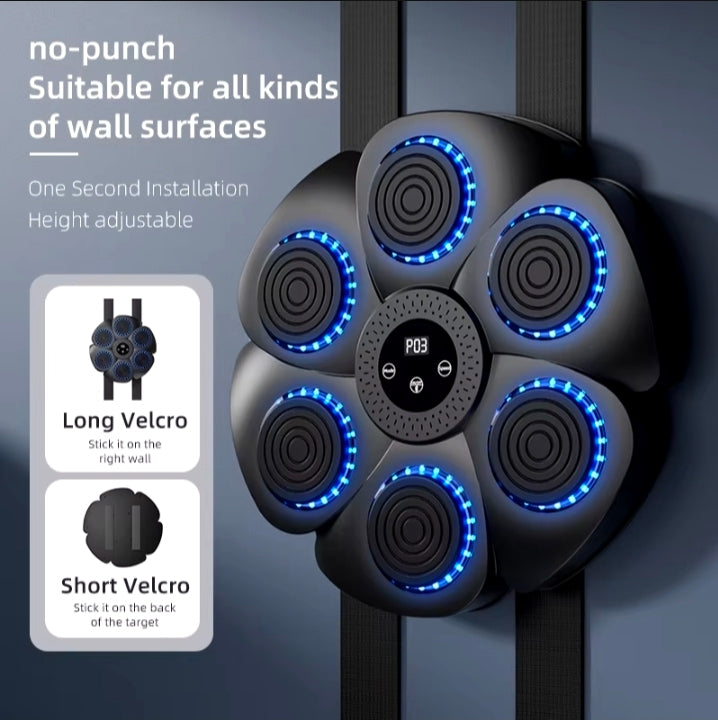 Intelligent Boxing pad