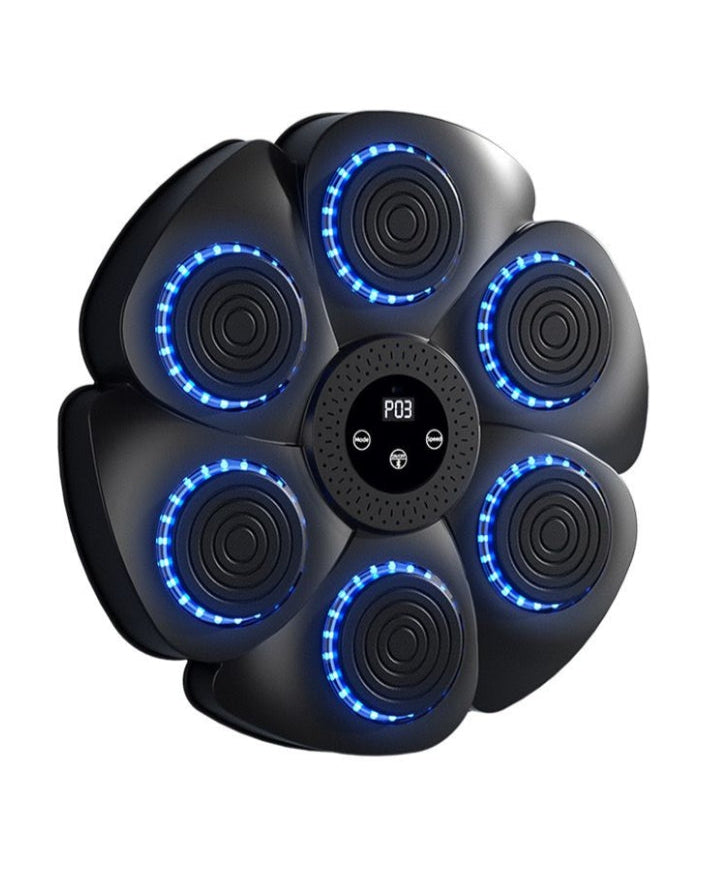Intelligent Boxing pad